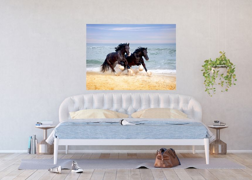 Fototapeta na zeď FTN M 2692, Koně na pláži, 155 x 110 cm, AG Design