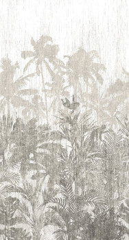 Vliesová obrazová tapeta 200350, Jungle 150 x 280 cm, Panthera, BN Walls