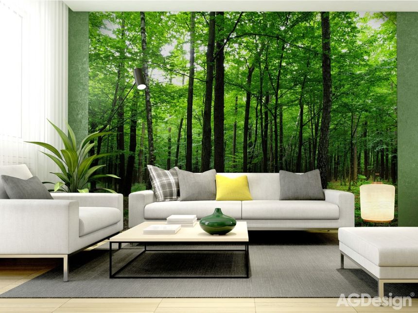 Vliesová fototapeta na zeď - stromy, les, příroda -  FTNS 2446, 360 x 270 cm, AG Design