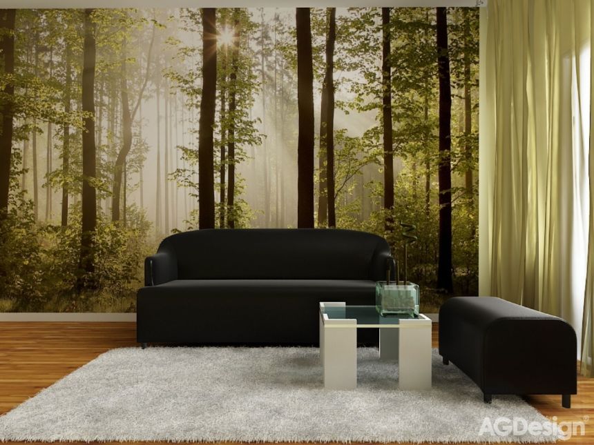 Vliesová fototapeta na zeď - Stromy, les, příroda - FTNS 2447, 360 x 270 cm, AG Design