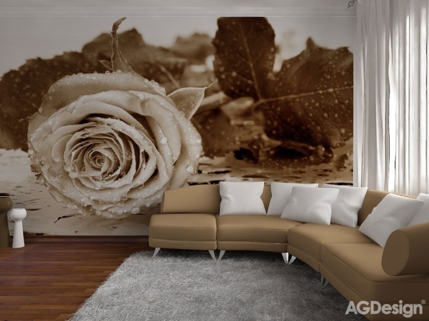 Vliesová fototapeta na zeď  FTNS 2458, Černobílá růže, 360 x 270 cm, AG Design