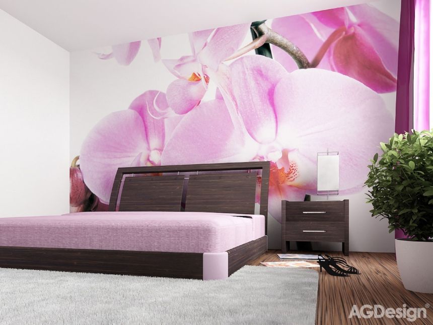 Vliesová fototapeta na zeď FTNS 2459, Fialová orchidej, 360 x 270 cm, AG Design