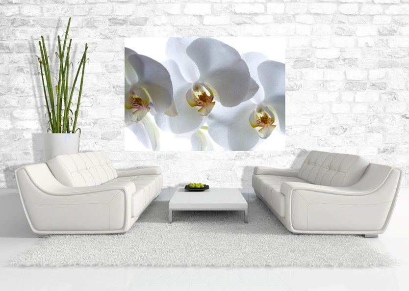 Fototapeta na zeď FTSS 0830, Bílá orchidej 180 x 127 cm, AG Design