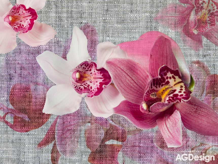 Vliesová fototapeta na zeď - FTN XXL 1148, Květiny, Růžové orchideje, 360 x 270 cm, AG Design
