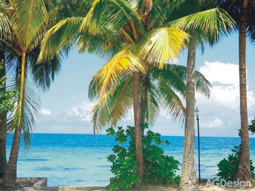 Vliesová obrazová tapeta/fototapeta FTN XXL 0384, Podzim, Palmy, Moře, 360 x 270 cm, AG Design