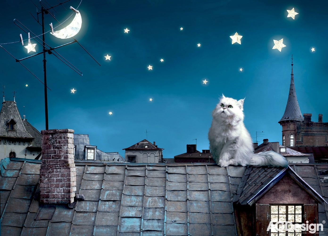 Fototapeta na zeď FTN M 2606, Kočka na střeše, 155 x 110 cm, AG Design