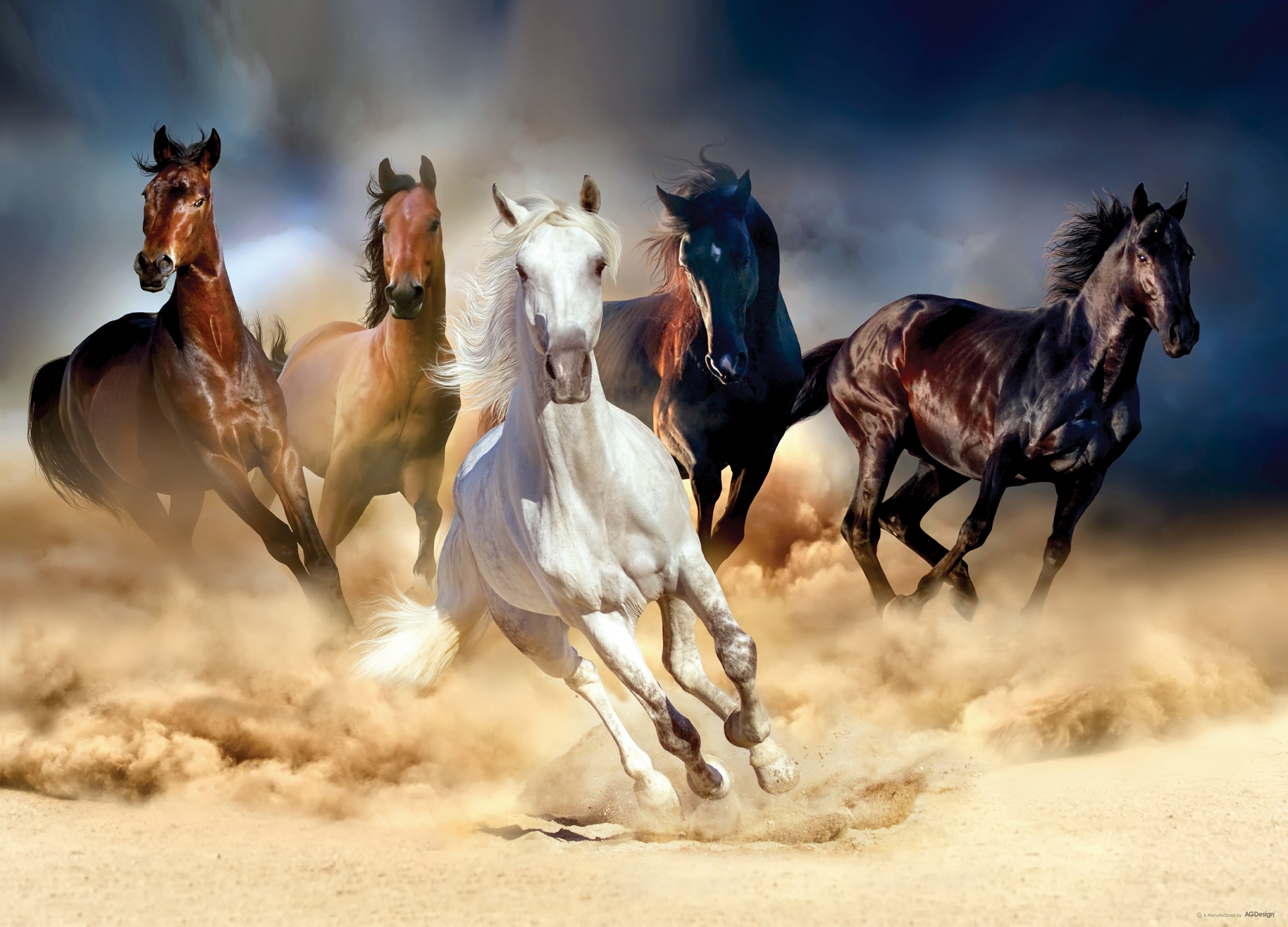 Fototapeta na zeď FTN M 2665, Koně, 155 x 110 cm, AG Design