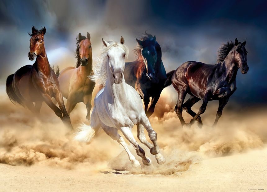 Fototapeta na zeď FTN M 2665, Koně, 155 x 110 cm, AG Design