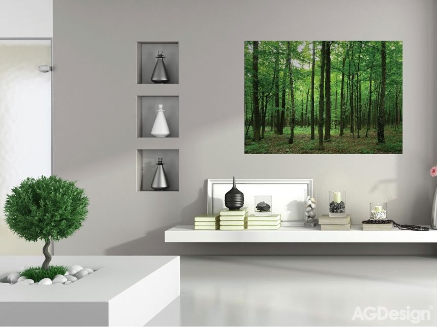 Fototapeta na zeď FTN M 2656, Les, 155 x 110 cm, AG Design