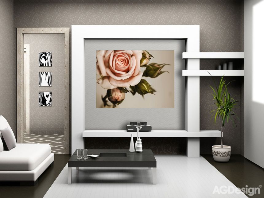 Fototapeta na zeď FTN M 2620, Růžová růže, 160 x 110 cm, AG Design 
