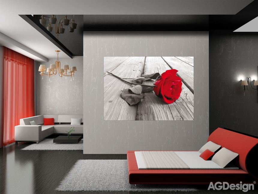 Fototapeta na zeď FTN M 2619, Rudá růže, 160 x 110 cm, AG Design