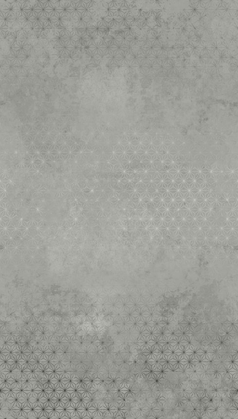 Fototapeta na zeď - Vintate Concrete A35101, 159 x 280 cm, Original, Murals, Grandeco