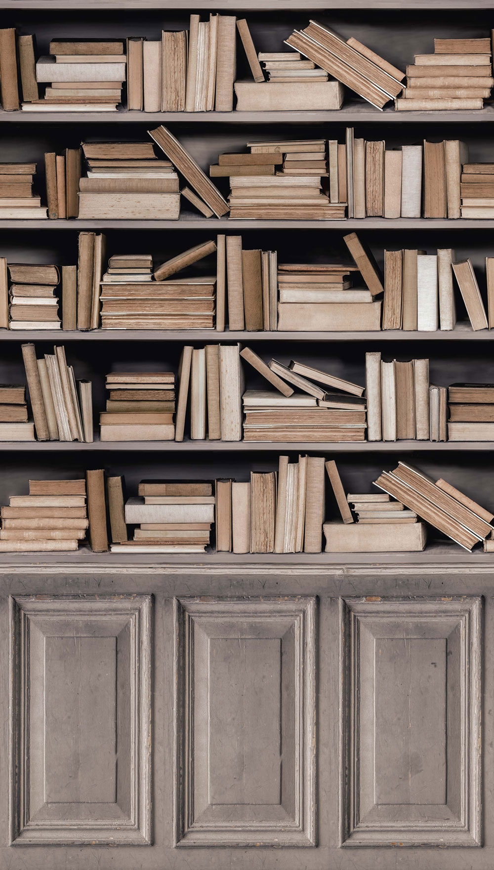 Fototapeta na zeď Knihovna A41601, 159 x 280 cm, Historian, Murals, Grandeco