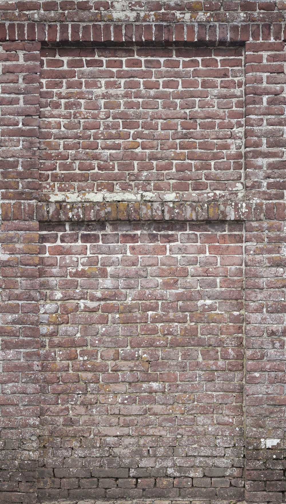 Fototapeta na zeď- Cihlová zeď, Cihly  A42901, 159 x 280 cm, Designer, Murals, Grandeco