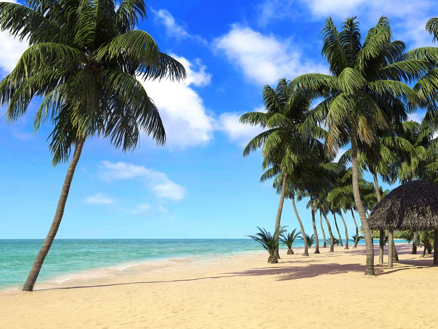 Fototapeta na zeď FTN XXL 1234, Palmy, Moře, Pláž, 360 x 270 cm, AG Design