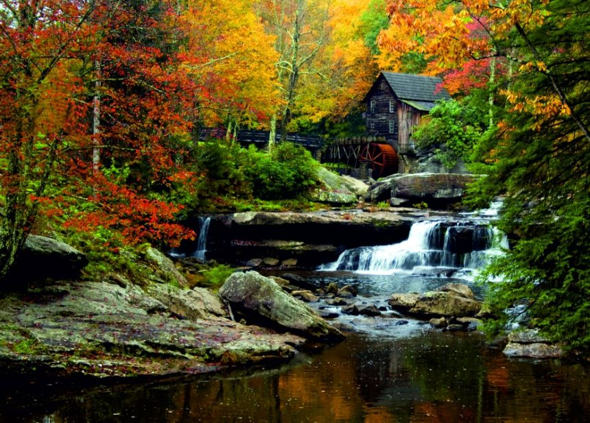 Fototapeta na zeď FTN M 2685, Dům v lese, 155 x 110 cm, AG Design