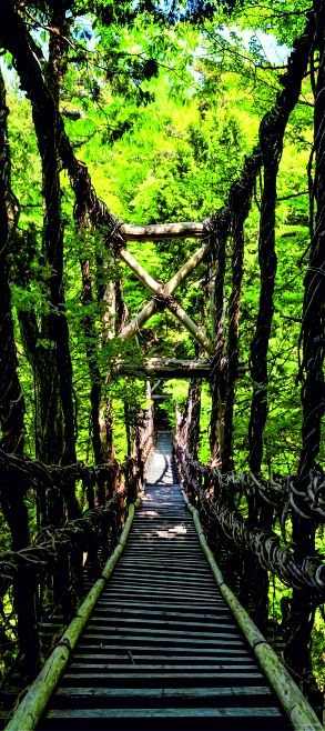 Fototapeta na zeď -  FTN V 2937, Dřevěný most v lese, 90 x 202 cm, AG Design 