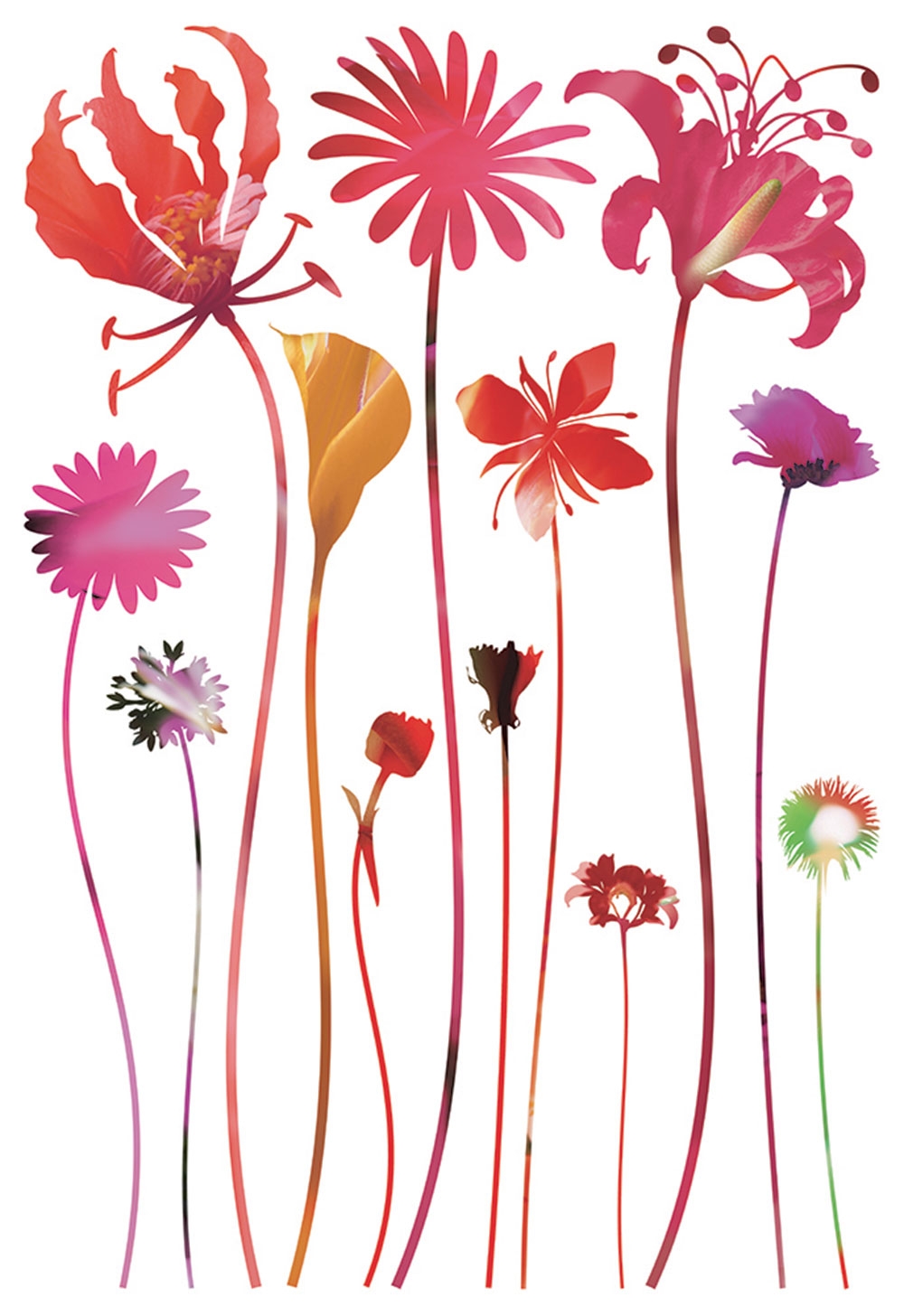 Samolepka / samolepící dekorace na zeď SM 3438, Červené květy, AG Design