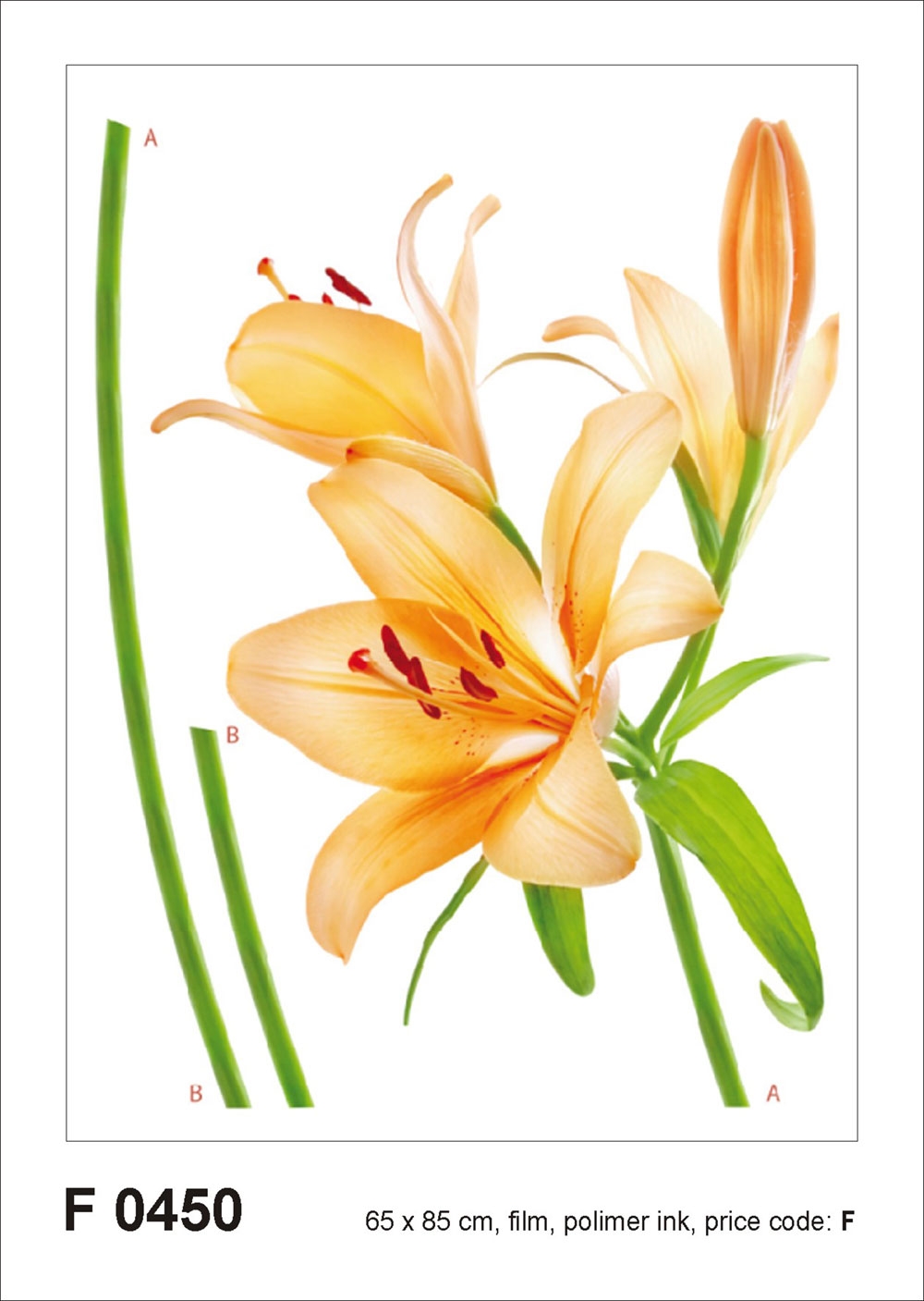 Samolepka / samolepící dekorace na zeď F 0450, Oranžová lilie, AG Design