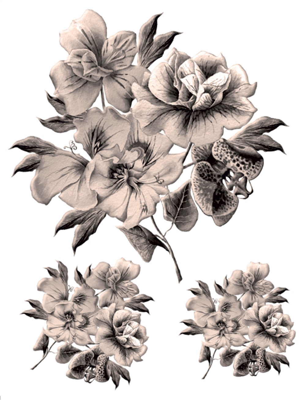 Samolepka / samolepící dekorace na zeď F 1063, Flowers, AG Design