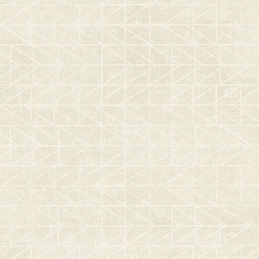 Vliesová tapeta na zeď 37174-2, Geometrický vzor, Dimex 2021, AS Creation
