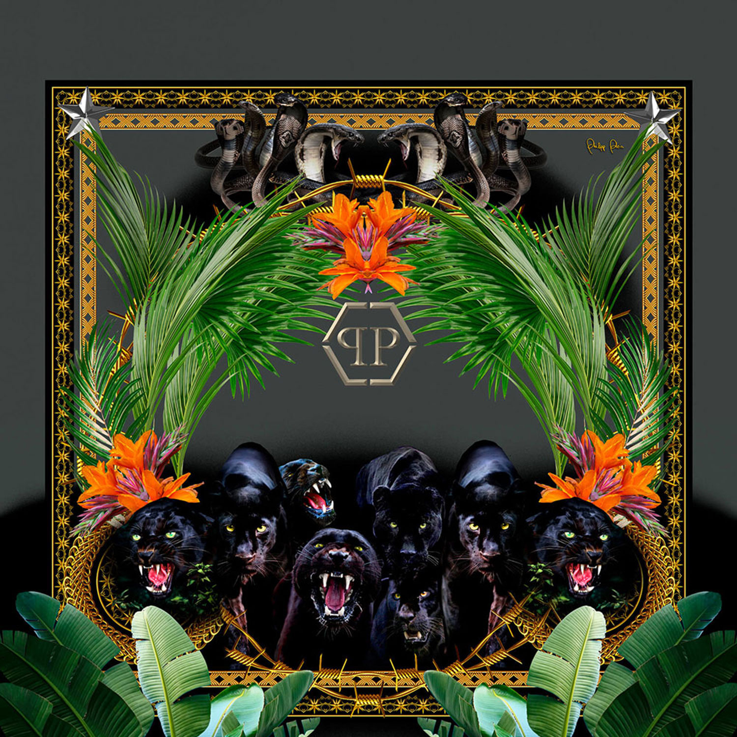 Obrazová vliesová tapeta s černými pantery Z80063 Philipp Plein, Zambaiti Parati