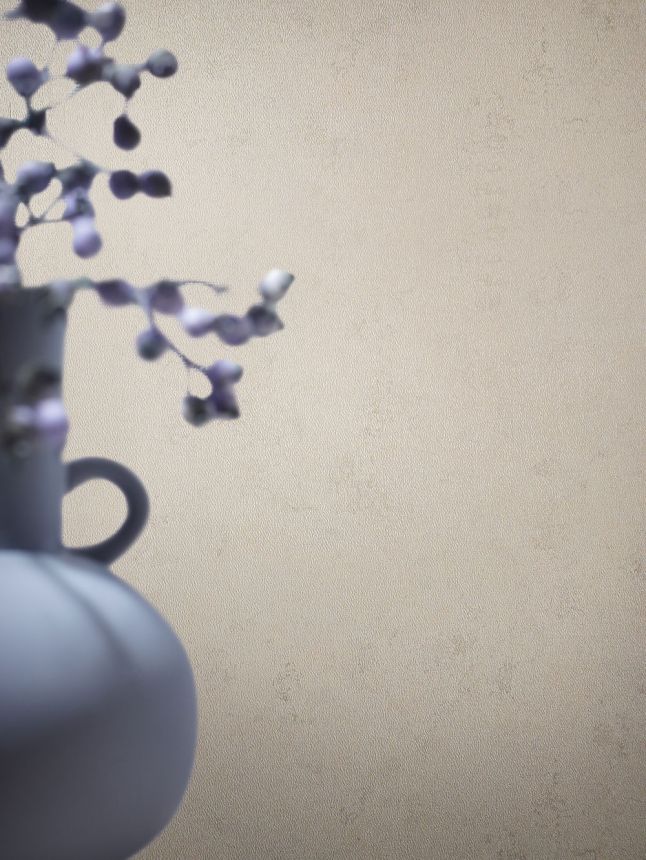 Světle šedá vliesová tapeta s vinylovým povrchem, Štuk, 33734, Papis Loveday, Marburg