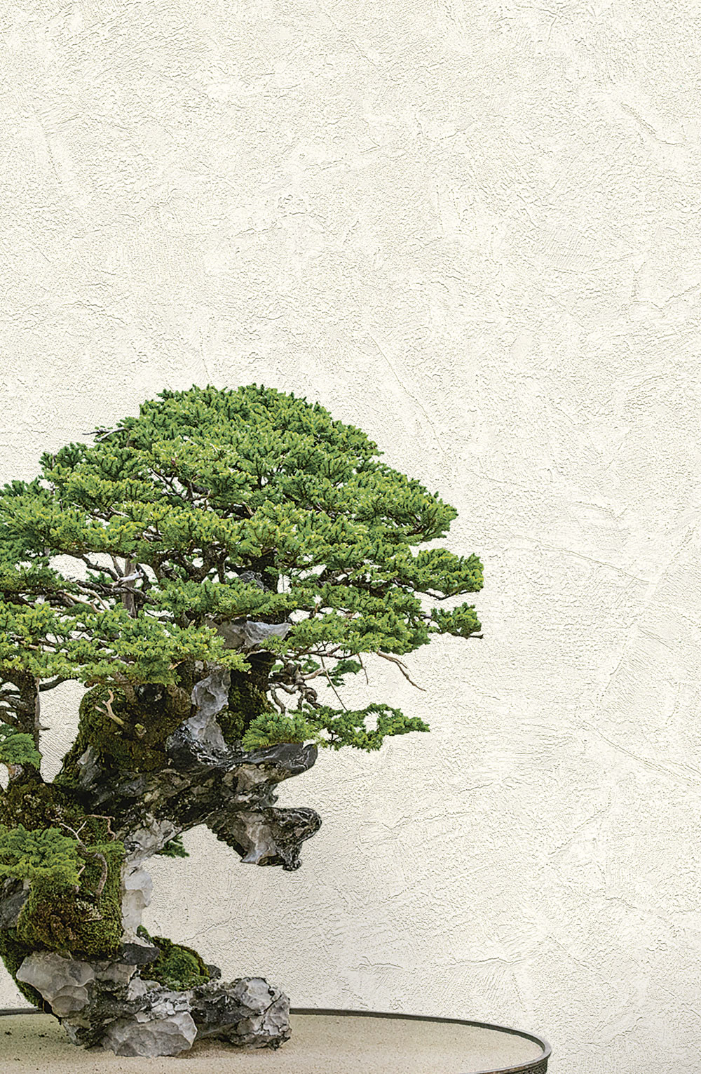 Luxusní smetanová vliesová štuková tapeta na zeď 72965, Zen, Emiliana Parati