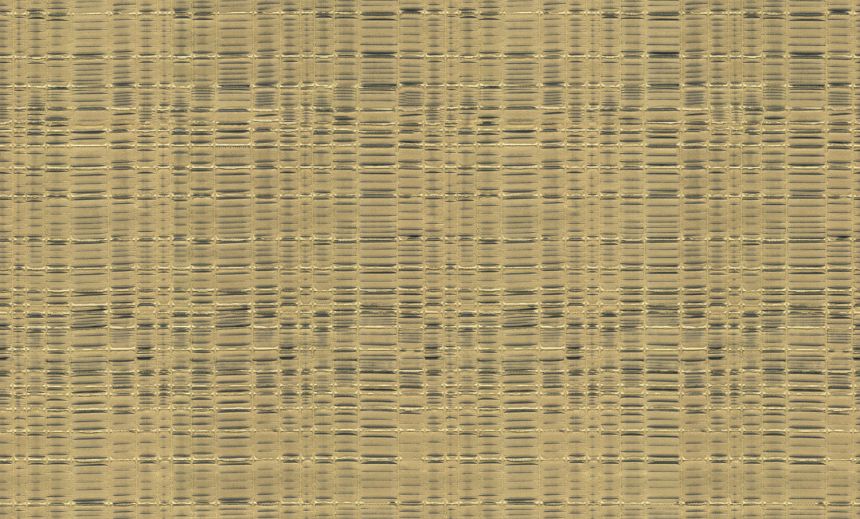 Luxusní zlatá vliesová tapeta, 86034, Valentin Yudashkin 5, Emiliana Parati