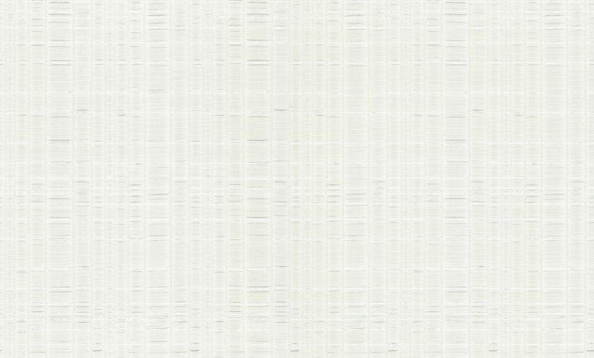 Luxusní bílo-stříbrná vliesová tapeta, 86040, Valentin Yudashkin 5, Emiliana Parati