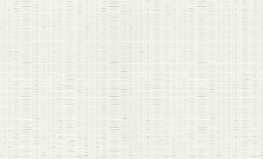 Luxusní bílo-stříbrná vliesová tapeta, 86040, Valentin Yudashkin 5, Emiliana Parati