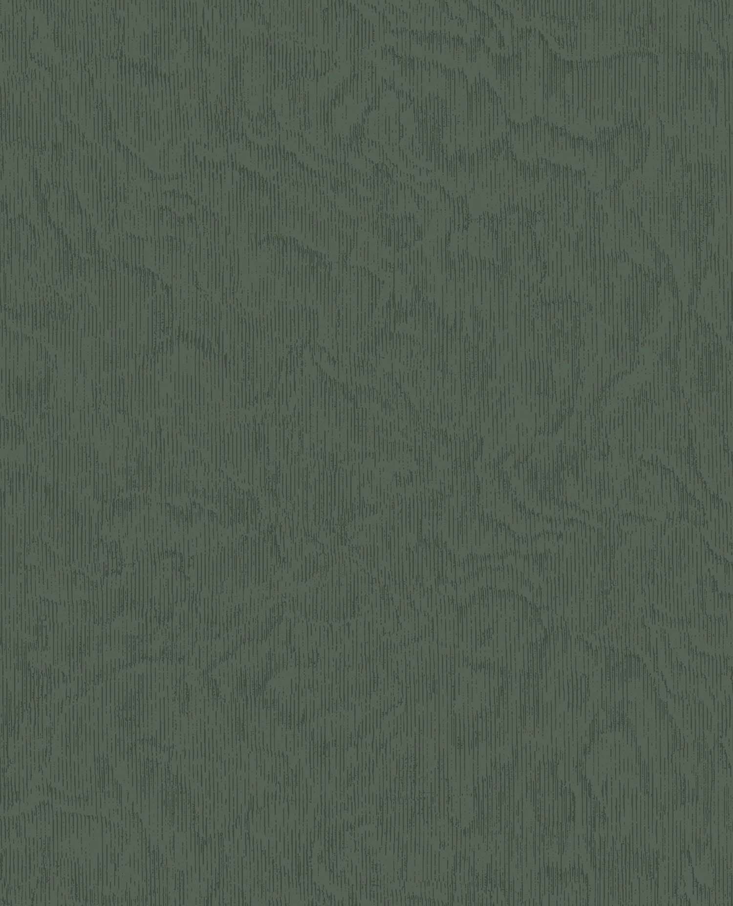 Zelená žíhaná vliesová tapeta na zeď, 324055, Embrace, Eijffinger