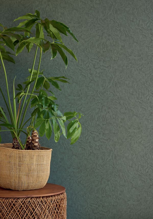 Zelená žíhaná vliesová tapeta na zeď, 324055, Embrace, Eijffinger