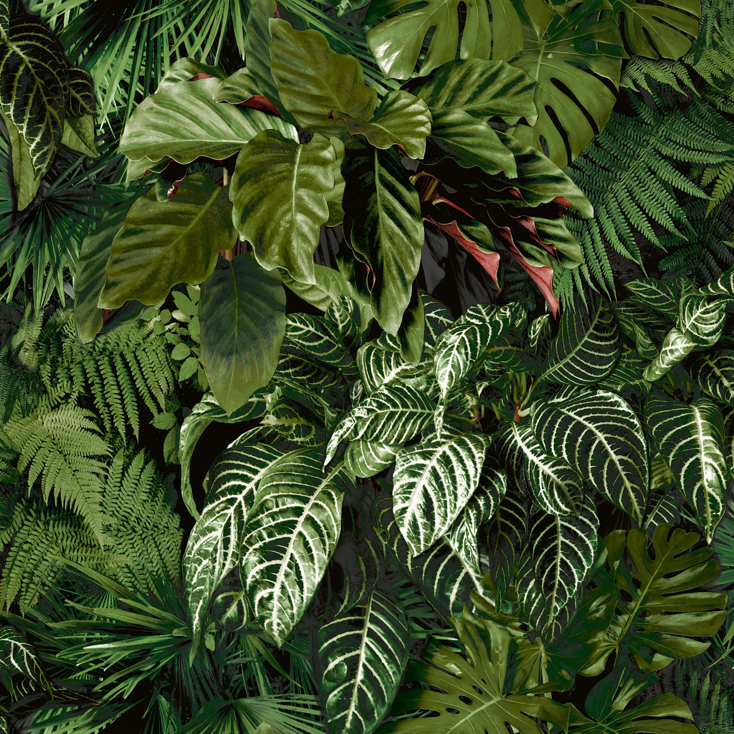 Zelená vliesová tapeta s listy,  A58601, Vavex 2025