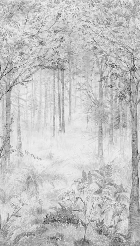 Obrazová vliesová tapeta na zeď, Les, stromy, ML2802, Mural Young Edition, Grandeco