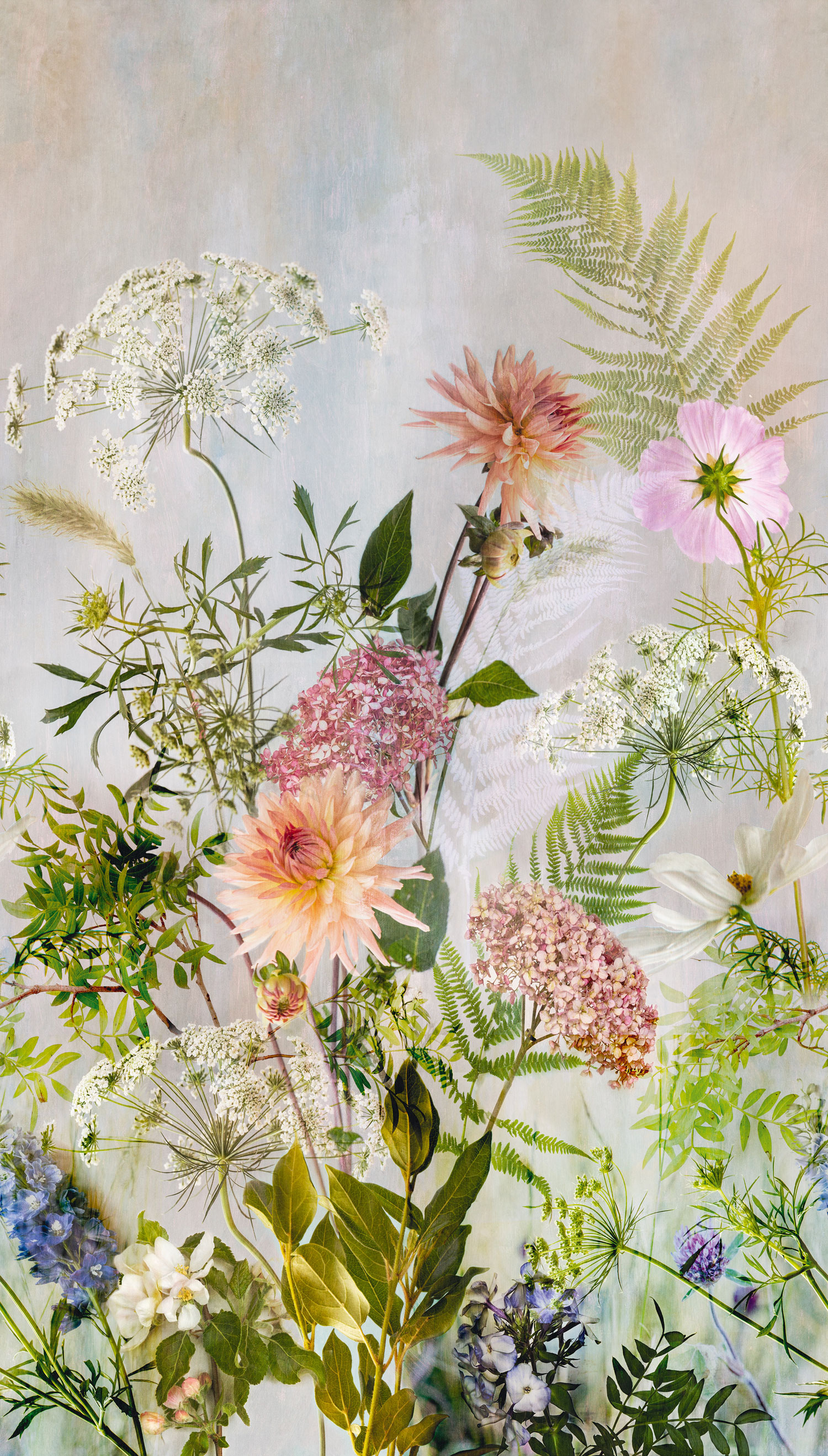 Vliesová fototapeta s květinami, ML2001, Mural Young Edition, Grandeco