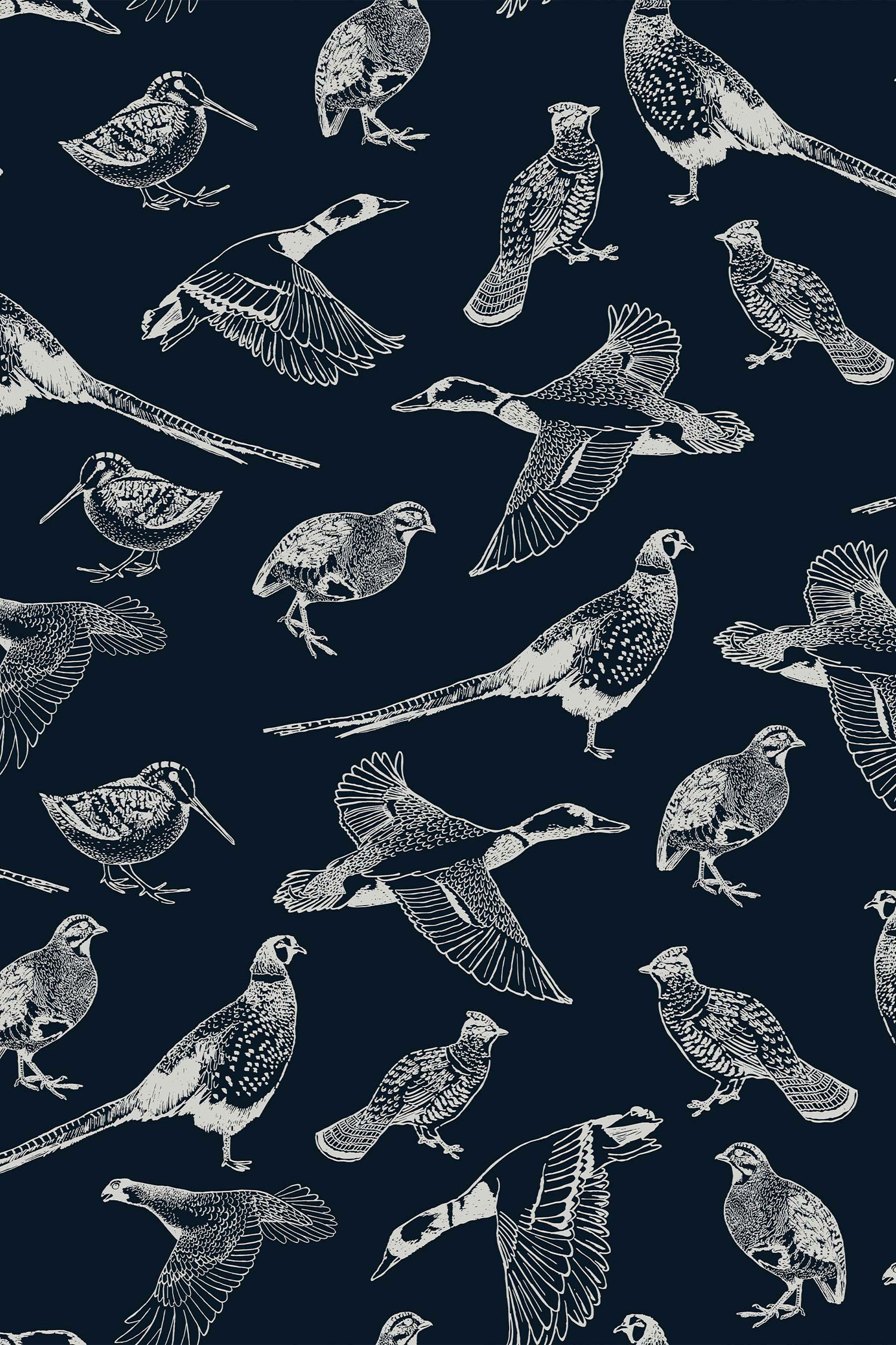 Modrá vliesová tapeta na zeď, Ptáci, 118555, Joules, Graham&Brown