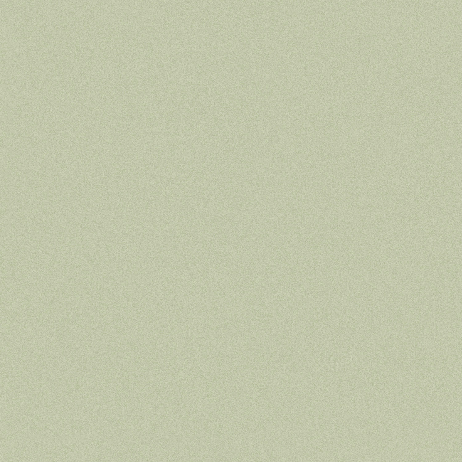 Jednobarevná zelená vliesová tapeta na zeď,  120885, Joules, Graham&Brown