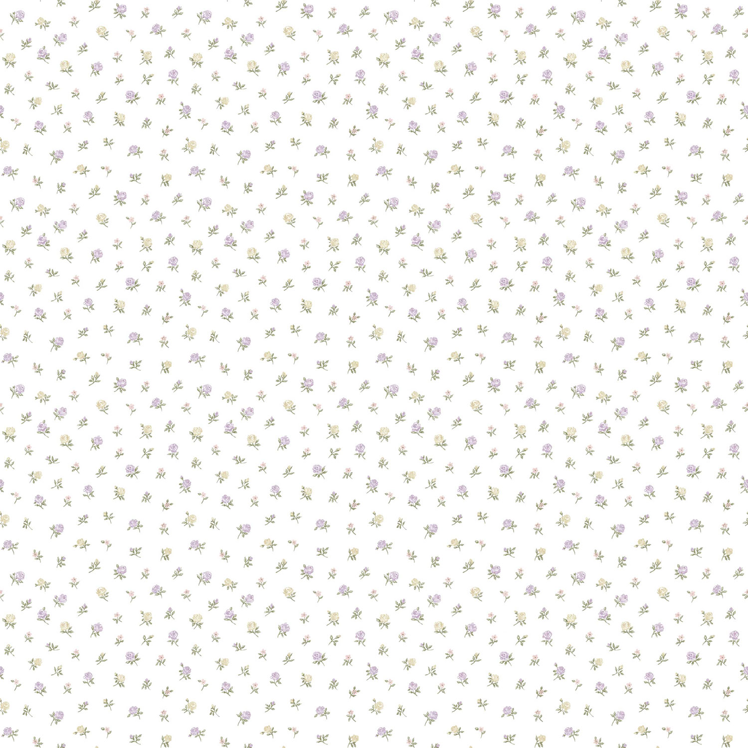 Bílá vliesová květinová tapeta na zeď, 12335, Fiori Country, Parato