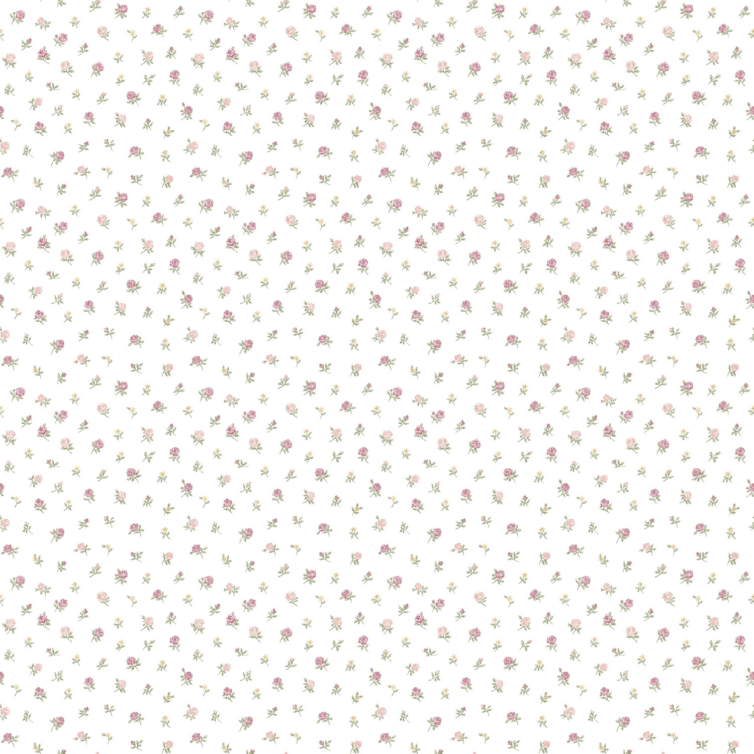 Bílá vliesová květinová tapeta na zeď, 12338, Fiori Country, Parato