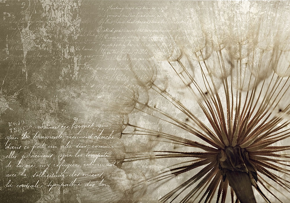 Vliesová obrazová tapeta Chmýří pampelišek 22113, 368 x 280 cm, Photomurals, Vavex