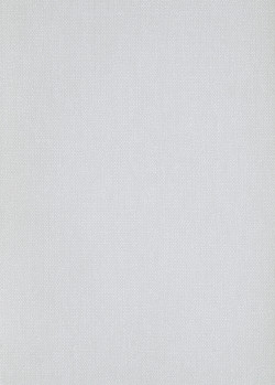 Bílo-šedá vliesová tapeta na zeď, ALL903, Othello, Zen, Zoom by Masureel