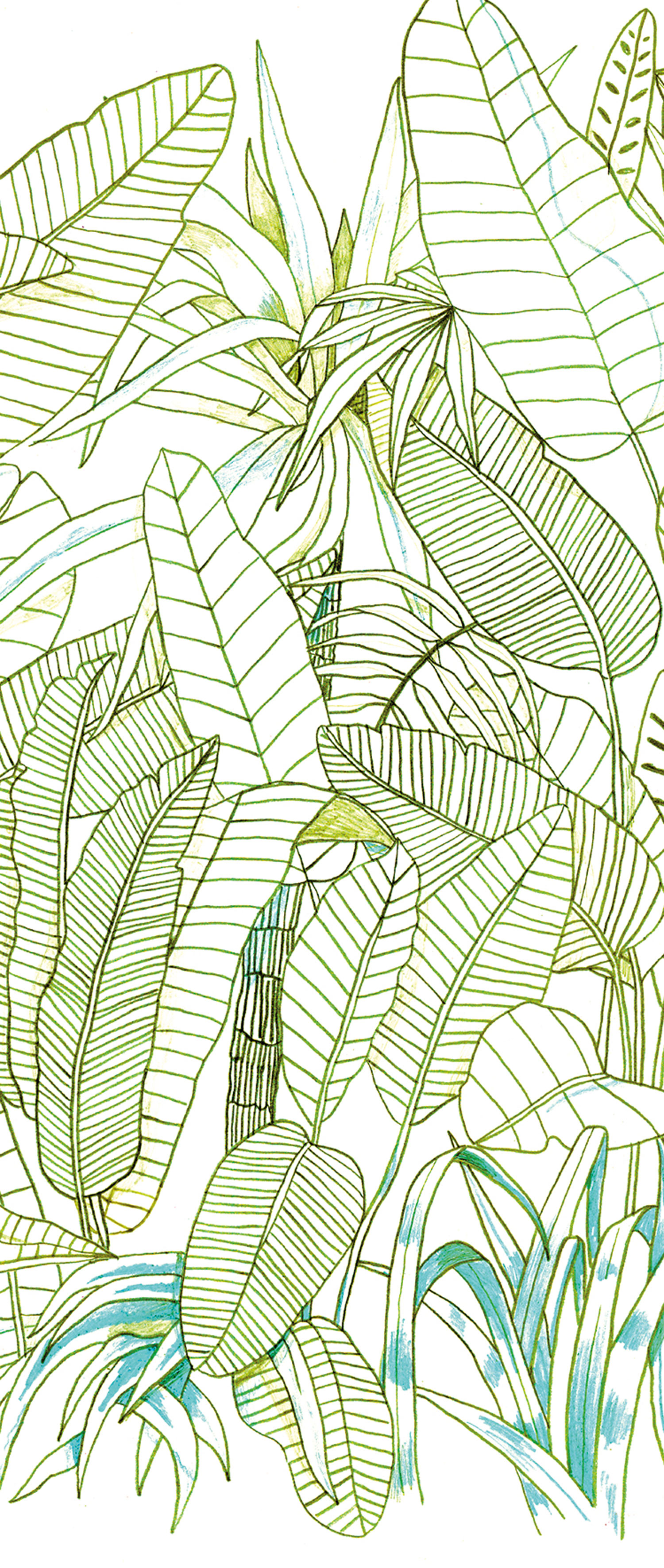 Zelená vliesová fototapeta na zeď, Listy, DG3GRA1011, Wall Designs III, Khroma by Masureel