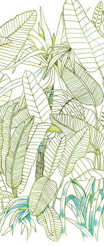 Zelená vliesová fototapeta na zeď, Listy, DG3GRA1011, Wall Designs III, Khroma by Masureel