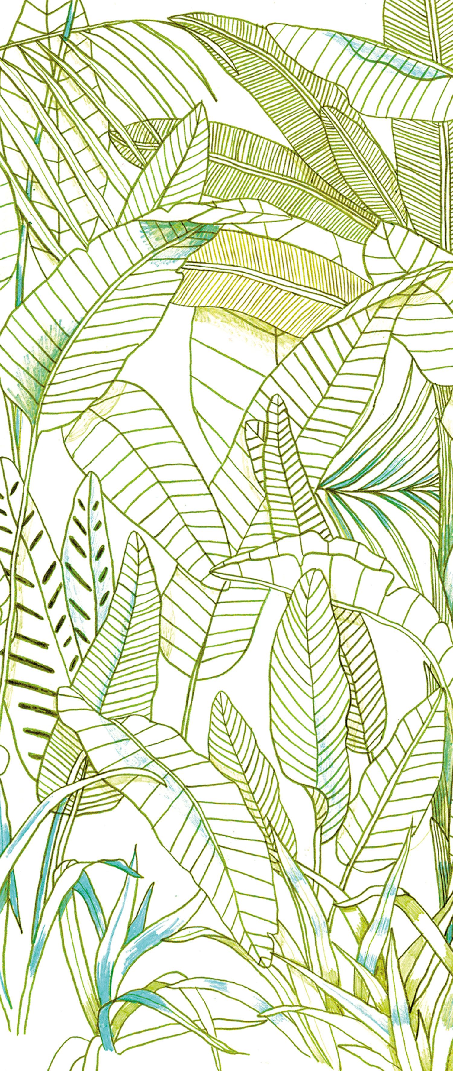 Zelená vliesová fototapeta na zeď, Listy, DG3GRA1012, Wall Designs III, Khroma by Masureel