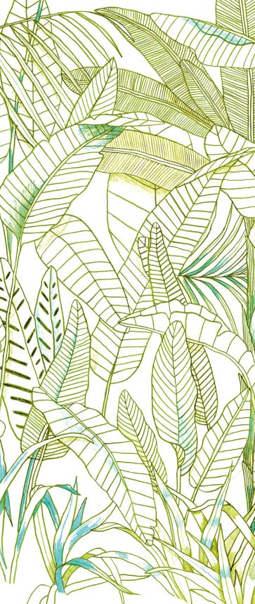 Zelená vliesová fototapeta na zeď, Listy, DG3GRA1012, Wall Designs III, Khroma by Masureel