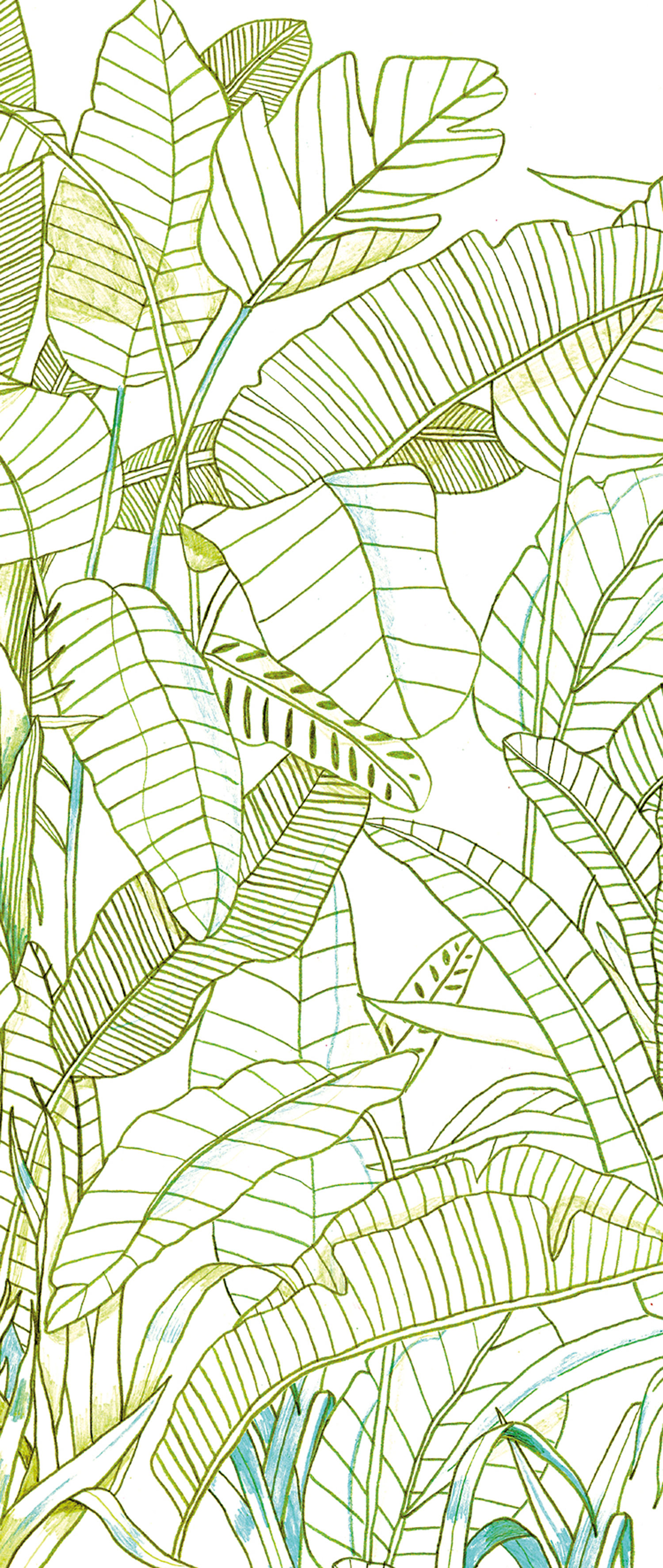 Zelená vliesová fototapeta na zeď, Listy, DG3GRA1013, Wall Designs III, Khroma by Masureel