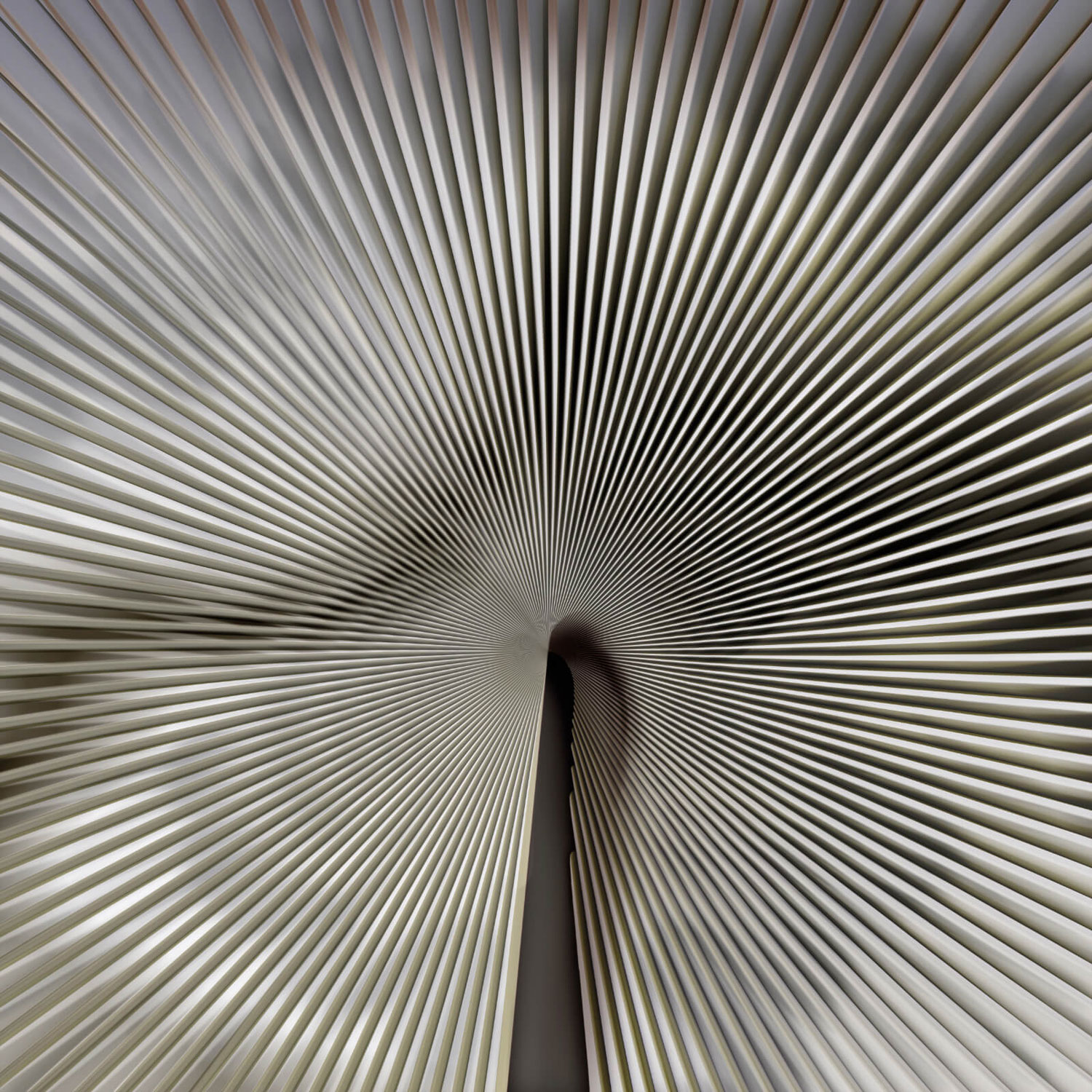 Luxusní fototapeta na zeď, Sunshine, Z18990, Trussardi 7, Zambaiti Parati