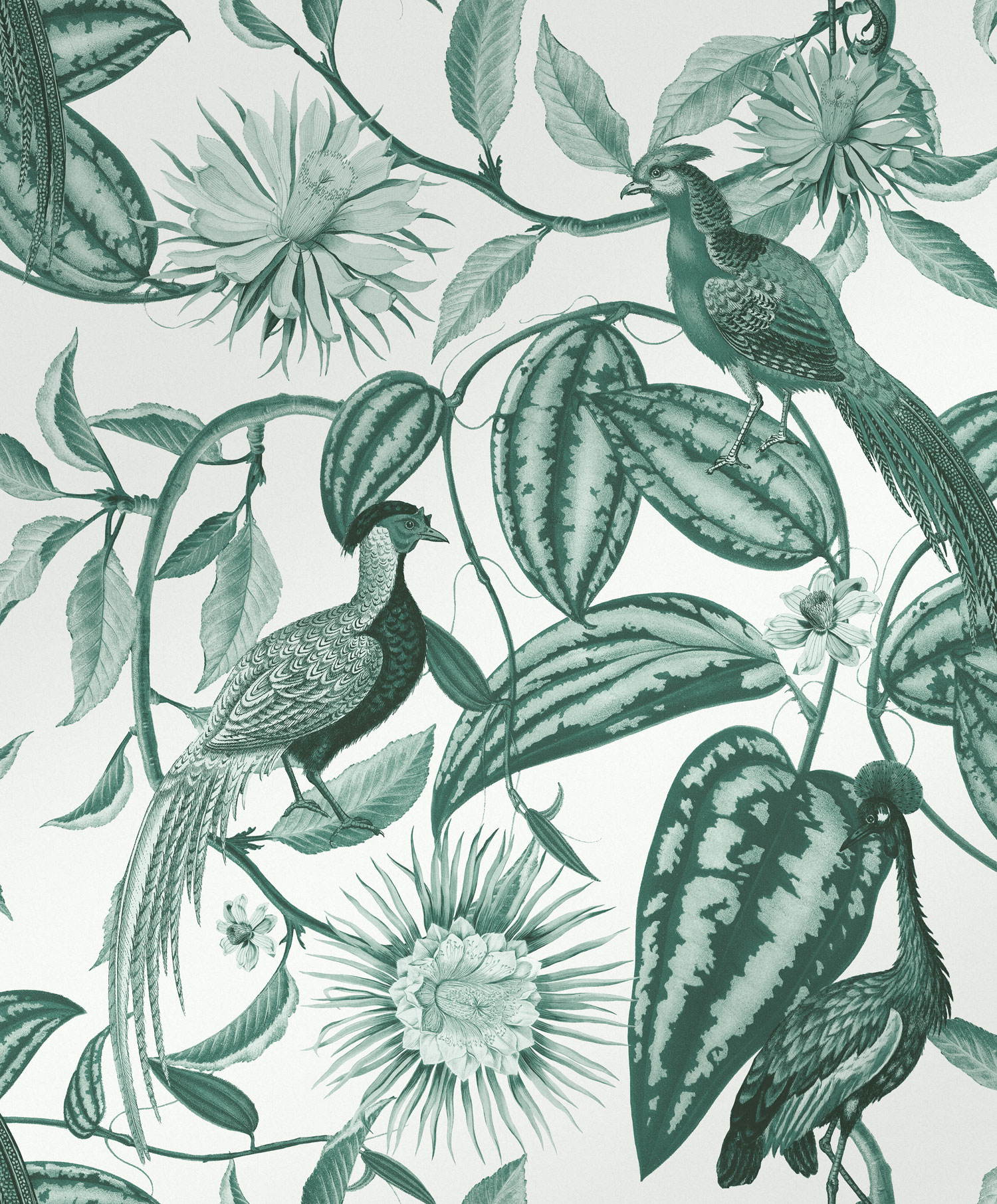 Šedo-zelená vliesová tapeta s květinami a ptáky, 120650, Retreat, Graham&Brown Premium
