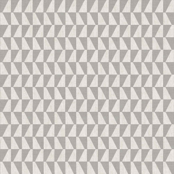 Stříbrno-bílá vliesová tapeta na zeď, geometrický vzor, 30176, Energie, Cristiana Masi by Parato